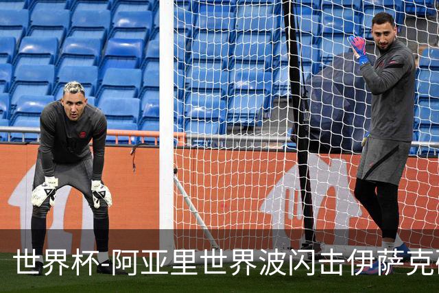 世界杯-阿亚里世界波闪击伊萨克破门 半场瑞典2-1突尼斯